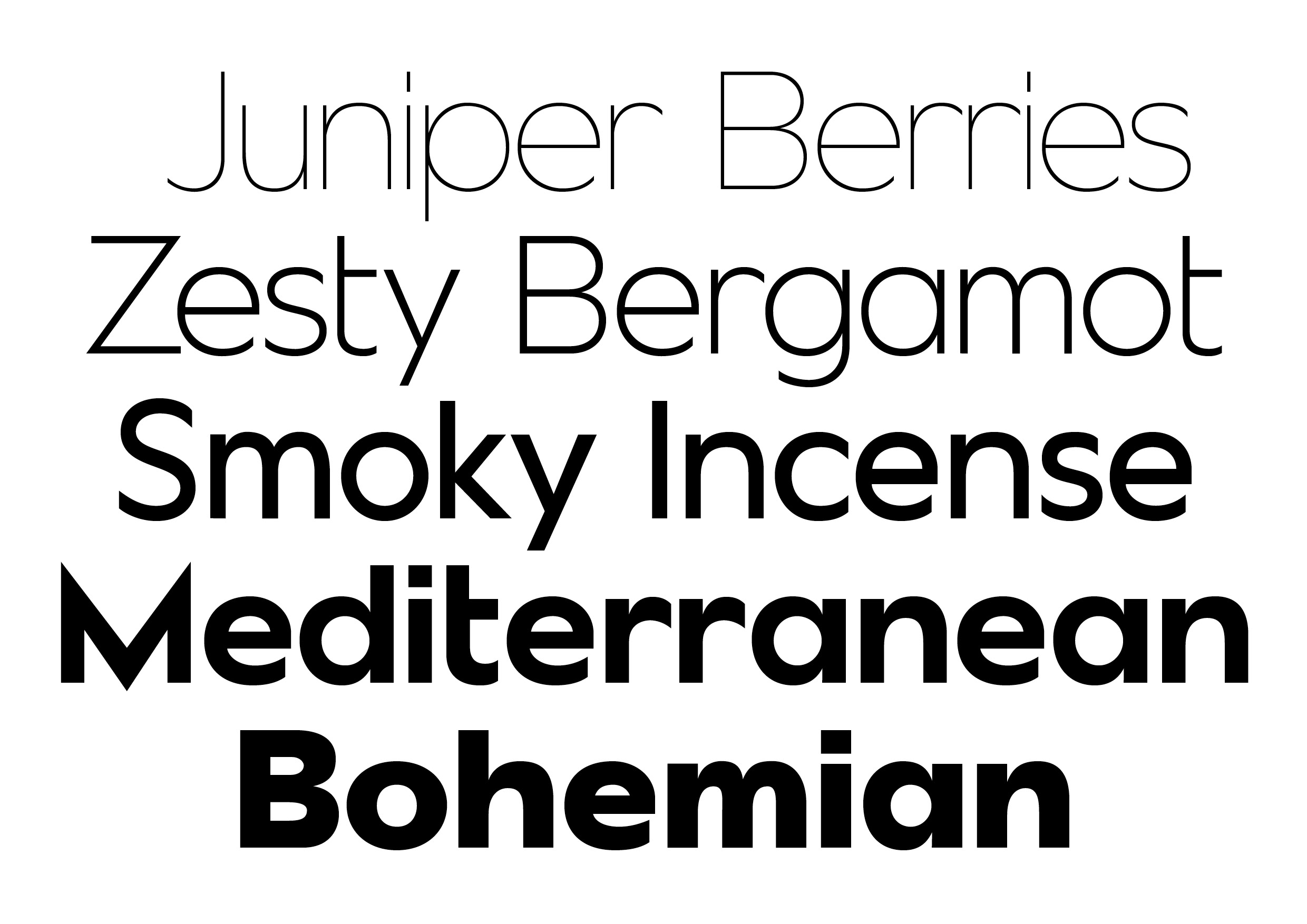 Blanche Sans specimen