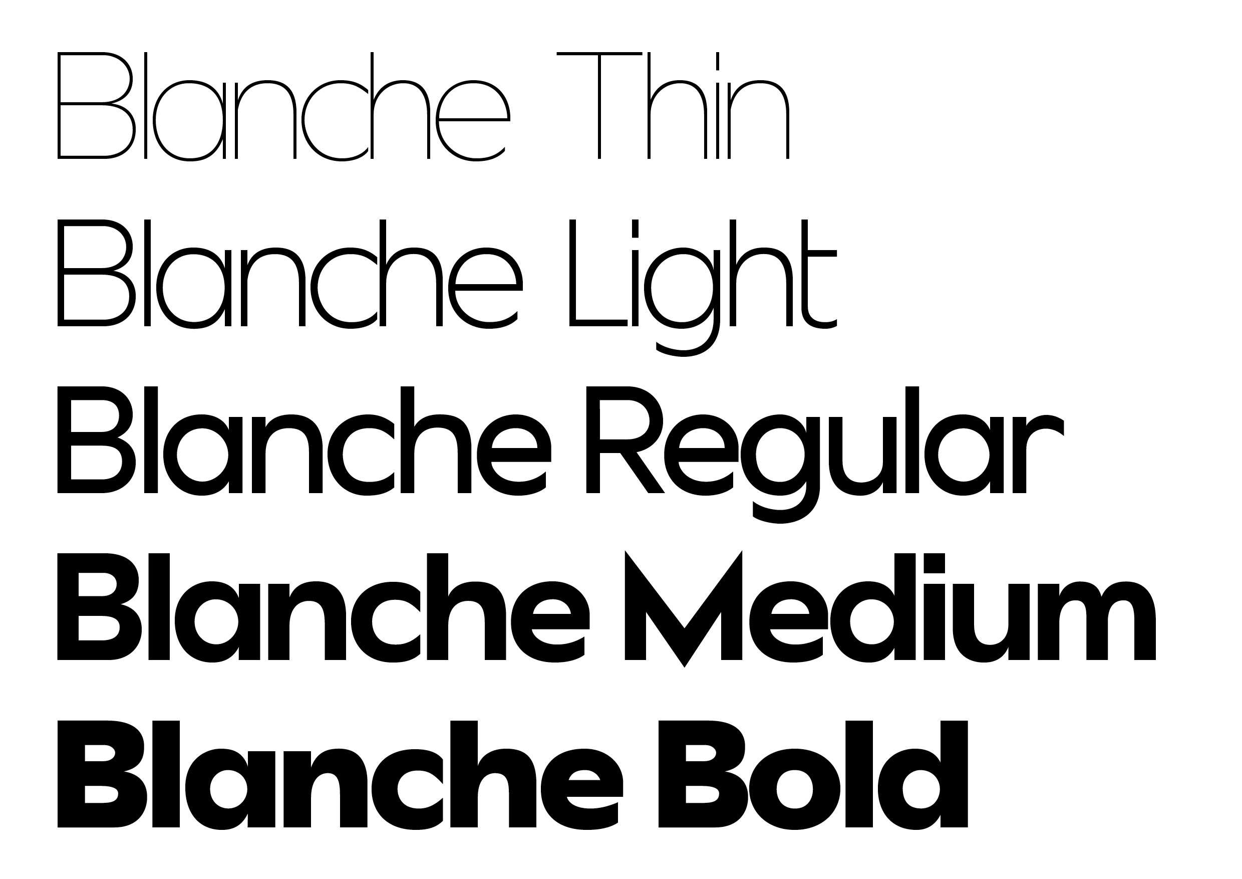 Blanche Sans specimen
