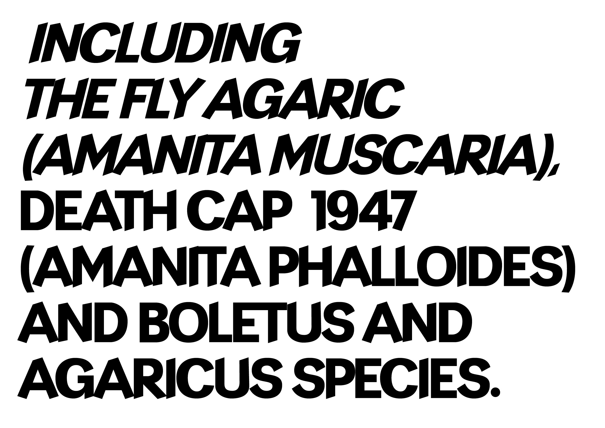 Tilt Script specimen