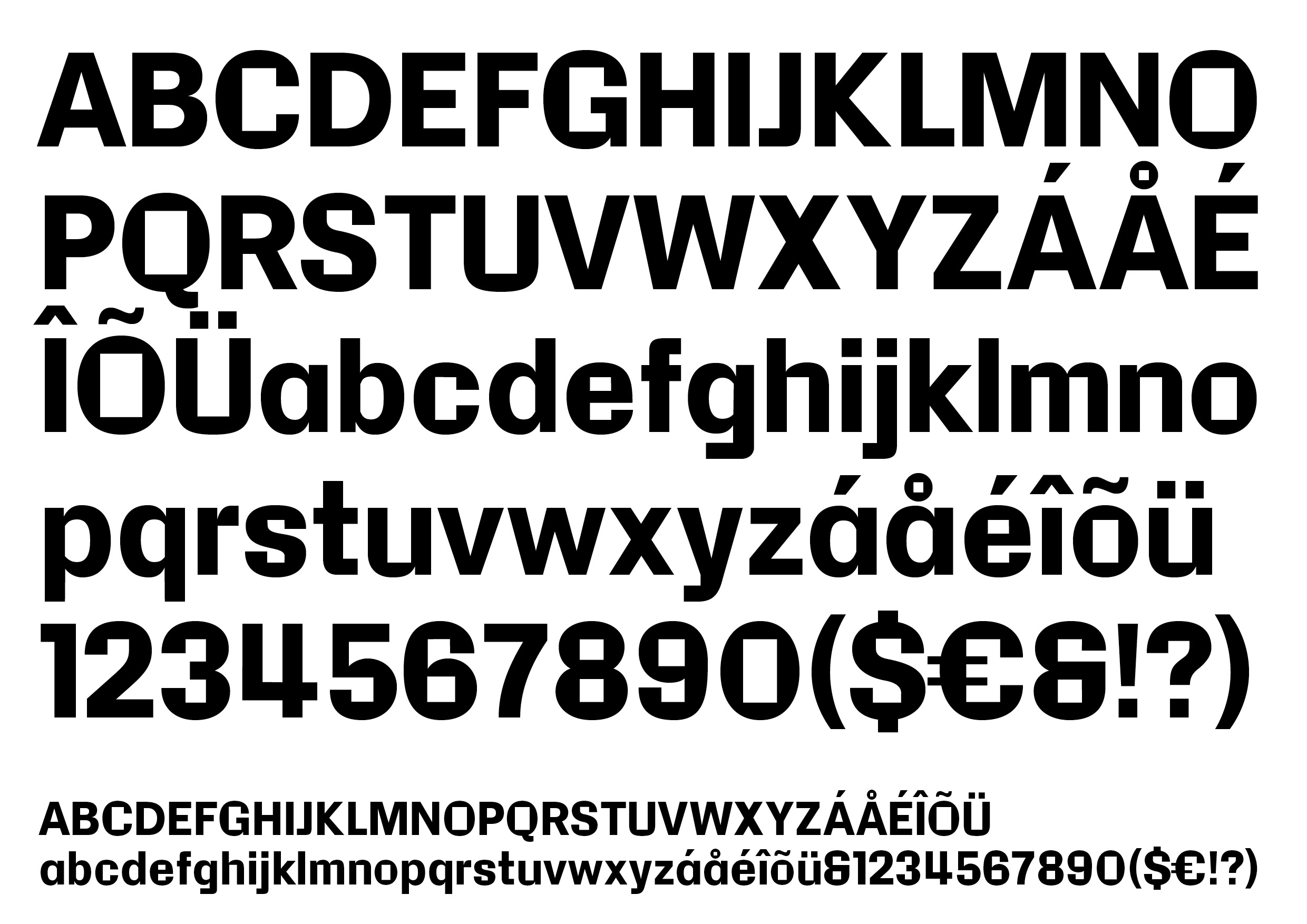 Yoko Mono specimen